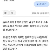 보룡인의 특수폭행과 보지공화국식 판결