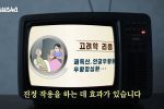 북한의 코로나 치료법