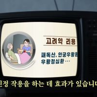 북한의 코로나 치료법