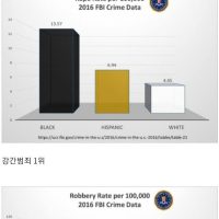 범죄 통계로 알아보는 미국 사회