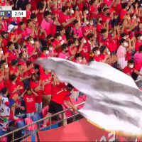 [대한민국 vs 칠레] 깃발 흔들기 힘들어보이는 팬