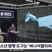 현재 삭제된 개구리소년글, 이수정교수 코멘트 요약/KBS뉴스