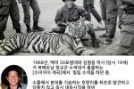 19살에 호랑이를 잡은 한국군 하사.jpg