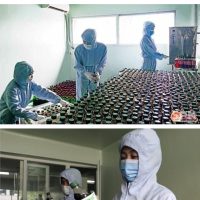 북한에서 우한폐렴 치료에 사용하는 의약품