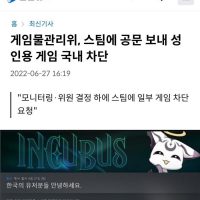 한국 스팀 성인게임 금지 사태