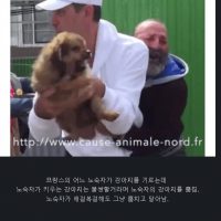 강아지가 불쌍하다며 빼앗아 간 프랑스의 동물단체