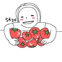 토마토 다이어트 레전드 후기...jpg