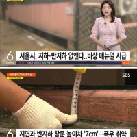 서울시 지하,반지하 없앤다고 밝혀.news