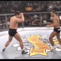 (UFC)무에타이선수 vs 레슬링선수