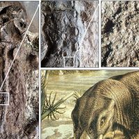 트라이아이스기 초기 고생물인 리스트로사우루스의 미라 발견