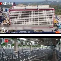 중국의 돼지 사육 빌딩