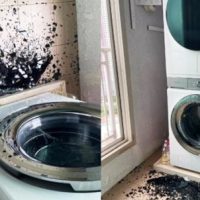 삼성 세탁기 폭발 사고 속출