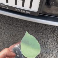 나뭇잎으로 위장한 자동차 번호판 가리개
