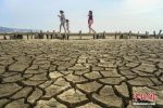중국은 가뭄, 미국은 흉작.. 곡물값 인상 전망