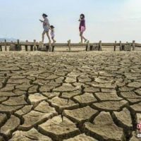중국은 가뭄, 미국은 흉작.. 곡물값 인상 전망