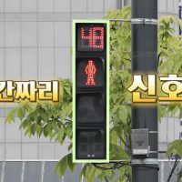 한국인들이 그토록 바라던 신호등 출시