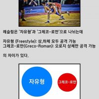 한국 레슬링 금메달 역사상 최고의 인자강