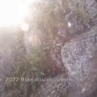(SOUND)등산 중 곰에게 습격