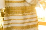 이 사진의 드레스 색깔 구분안되는 분들이 많네요?