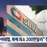 ''''쌍방울 아태협'''' 북에 최소 200만달러 대북송금