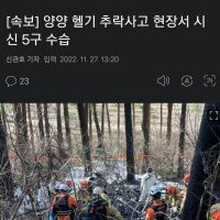 [속보] 양양 헬기 추락사고 현장서 시신 5구 수습