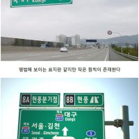 대한민국에서 유일하게 원칙이 제외된 곳