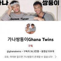 가나 응원했다고 욕먹고있는 쌍둥이 유튜버..jpg