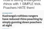 인도에서 코뿔소 개체수를 조절하는 방법