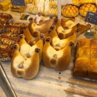 일본에 파는 개 사타구니 빵?