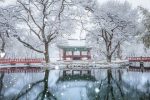 레딧에 올라온 한국의 겨울