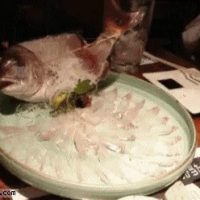 혐)잔인한 생선 요리...gif