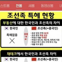 한국에서 조선족 특혜 현황