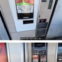 일본 자판기 라면 비쥬얼 클라스..gif