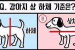 (SOUND)런닝맨 불거져나온 강아지 상하체 논란.