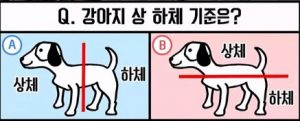 (SOUND)런닝맨 불거져나온 강아지 상하체 논란.