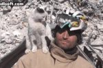 지진 현장에서 129시간 만에 구조된 고양이