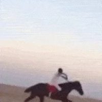 (혐주의)모래밭에서 말을 탄 결과.gif