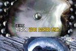 홍합 먹다가 흑진주 발견한 수산물 유튜버