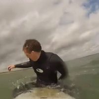 서핑 방해하는 물개