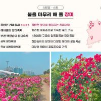 전국 봄꽃 축제 & 명소 총정리