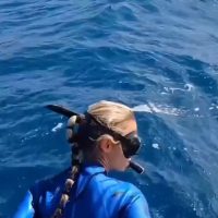 (SOUND)여자 다이버가 황급히 다이빙을 포기한 이유.gif