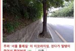 걷기만 해도 피로도가 쌓인다는 대한민국의 인도