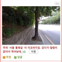 걷기만 해도 피로도가 쌓인다는 대한민국의 인도
