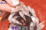 희귀영상) 6시내고향 낙지 탄생.gif