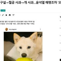 [속보] 기시다 """"한국에 사과하겠다"""".jpg