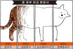 한겨레 만평 ㅡ 외교 변천사