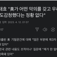 김태효 차장 - 미국 관음증 있어 .. 발언 파장