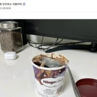 아이스크림과 싸워 패배한 디씨 유저.jpg
