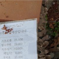 서울 성북천 캣맘 vs 주민갈등 근황