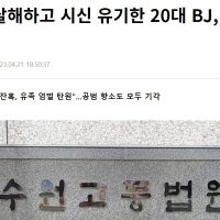 시청자 폭행·살해하고 시신 유기한 20대 BJ, 2심도 징역 30년